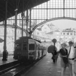 52614934208 fa50dbec0a c